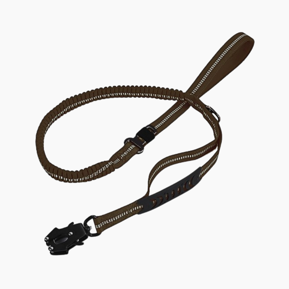 רצועת בנג'י מקצועית | לכלבים גדולים - FourPawTreats