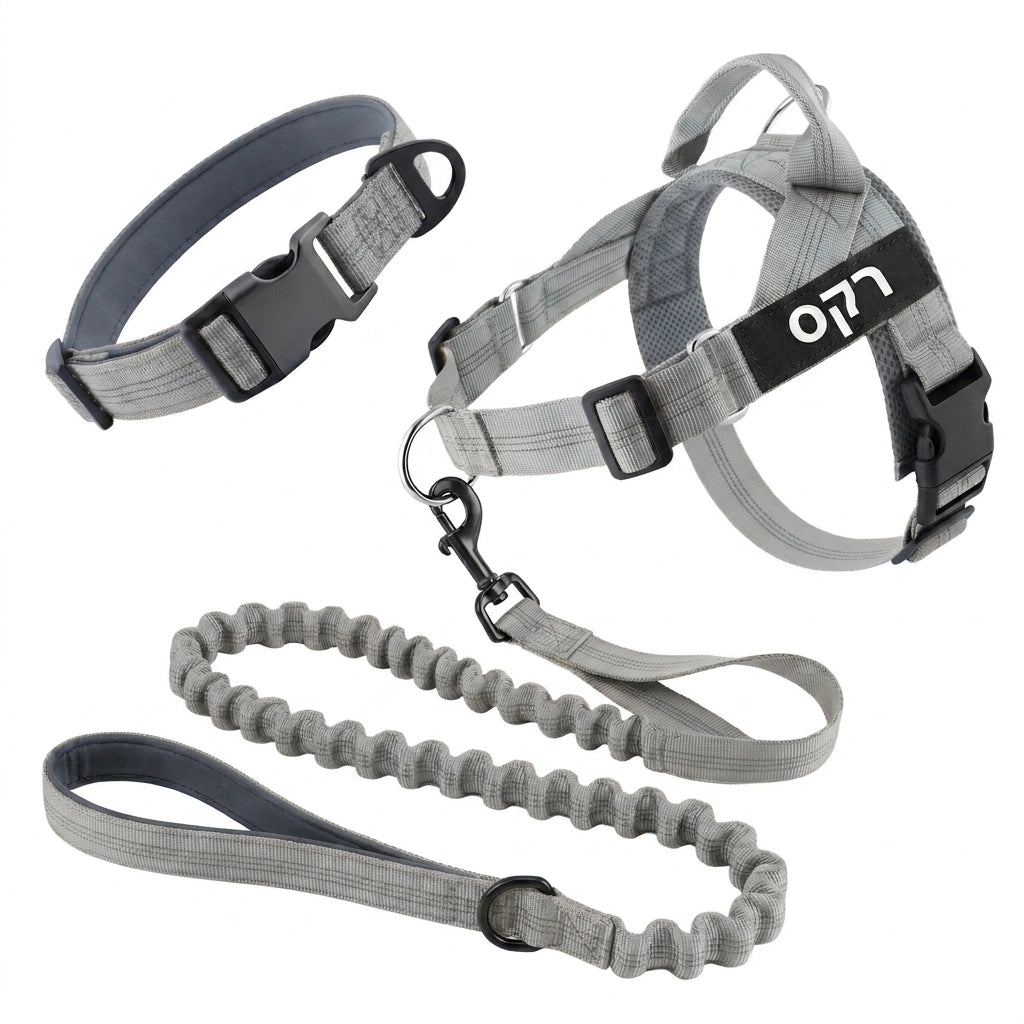 ערכת נגד משיכות מלאה - SafeWalk No-Pull 2.0