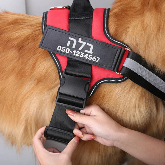 רתמת SafeWalk® No-Pull – מומלצת על ידי מאלפים למניעת משיכות ורוגע בכל טיול