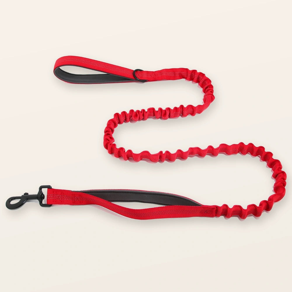 רצועת באנג'י SafeWalk® מקצועית לבלימת זעזועים
