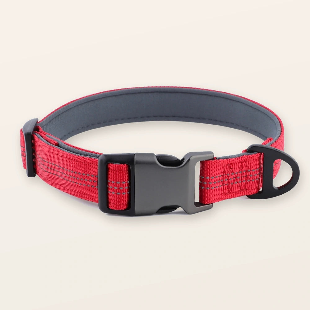 קולר SafeWalk® מרופד ומחוזק