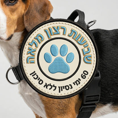 ערכת נגד משיכות מלאה - SafeWalk No-Pull 2.0