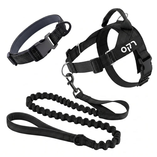 ערכת נגד משיכות מלאה - SafeWalk No-Pull 2.0