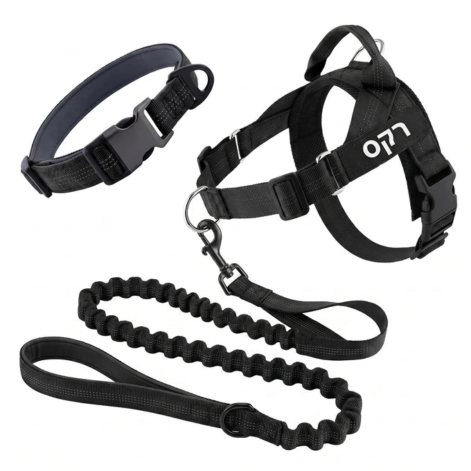 ערכת SafeWalk המלאה
