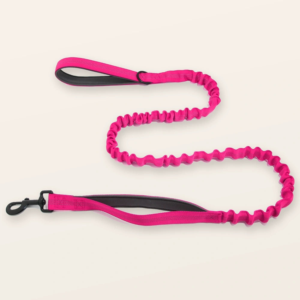 רצועת באנג'י SafeWalk® מקצועית לבלימת זעזועים