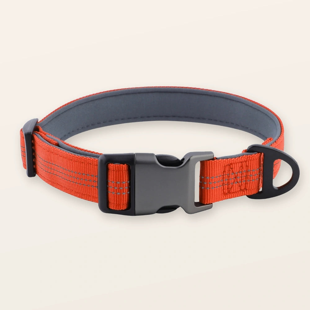 קולר SafeWalk® מרופד ומחוזק