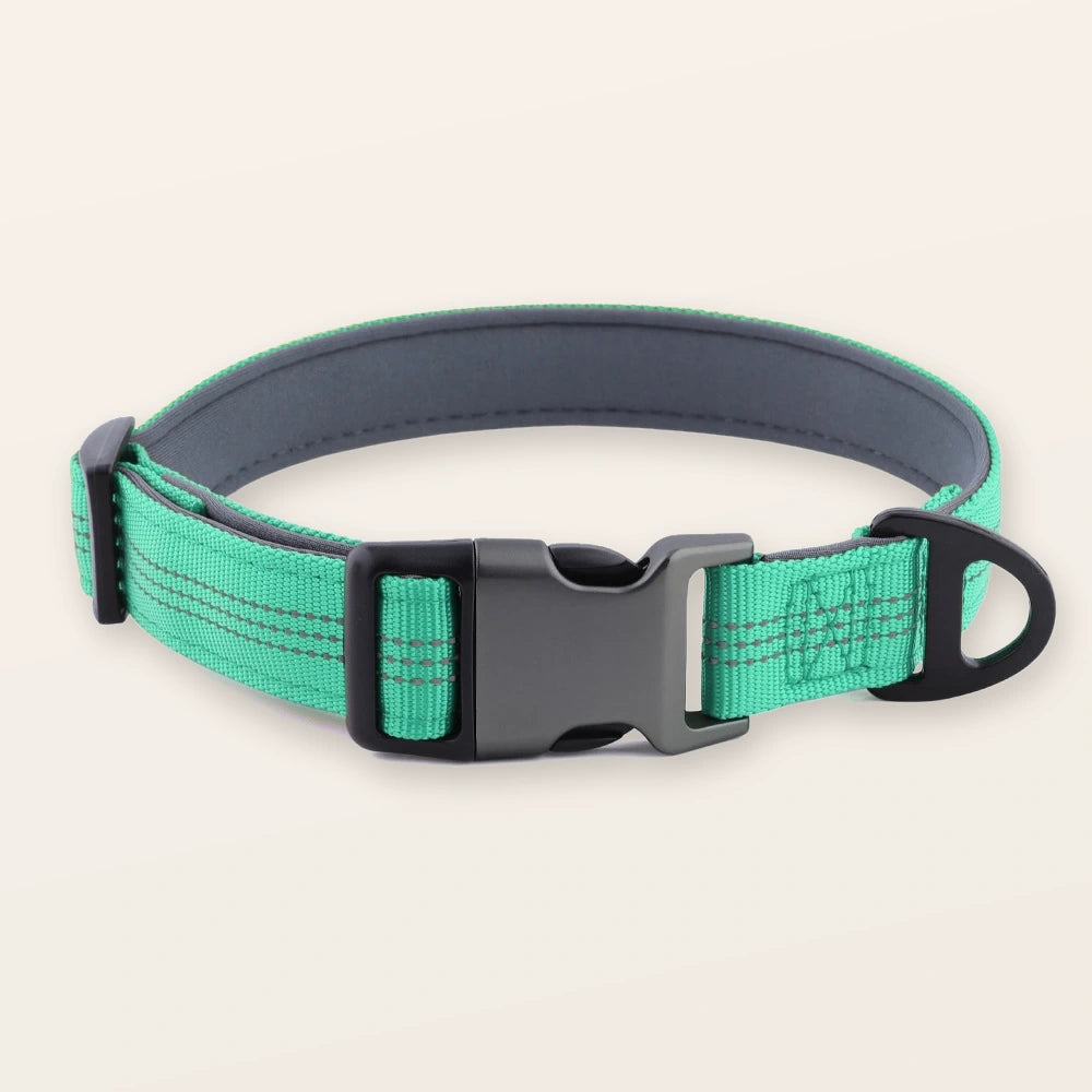 קולר SafeWalk® מרופד ומחוזק