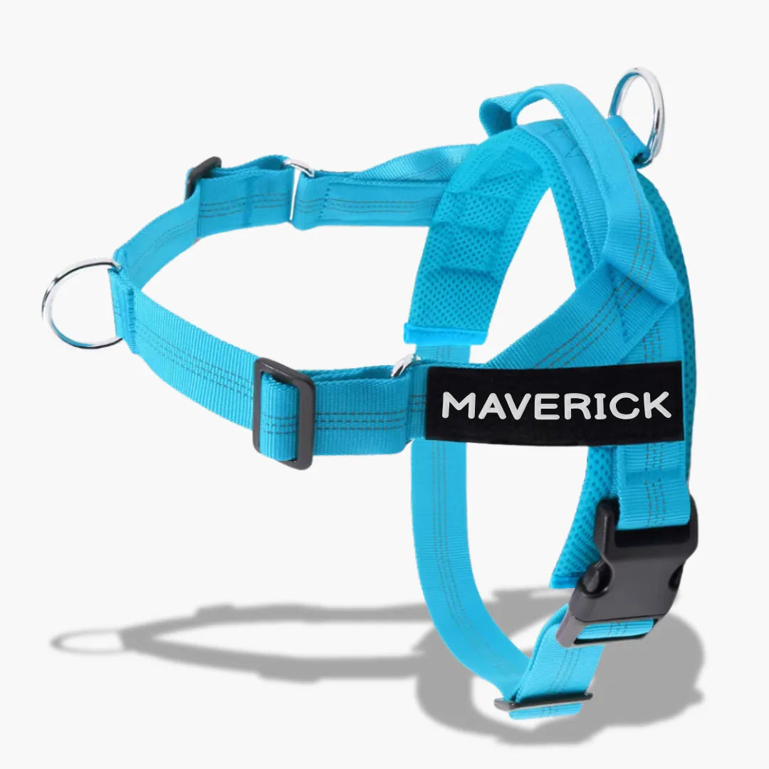 רתמת SafeWalk® No-Pull 2.0 רתמה ללא משיכות מותאמת אישית