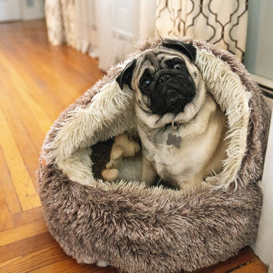 CozyCove - Premium Pet Bed