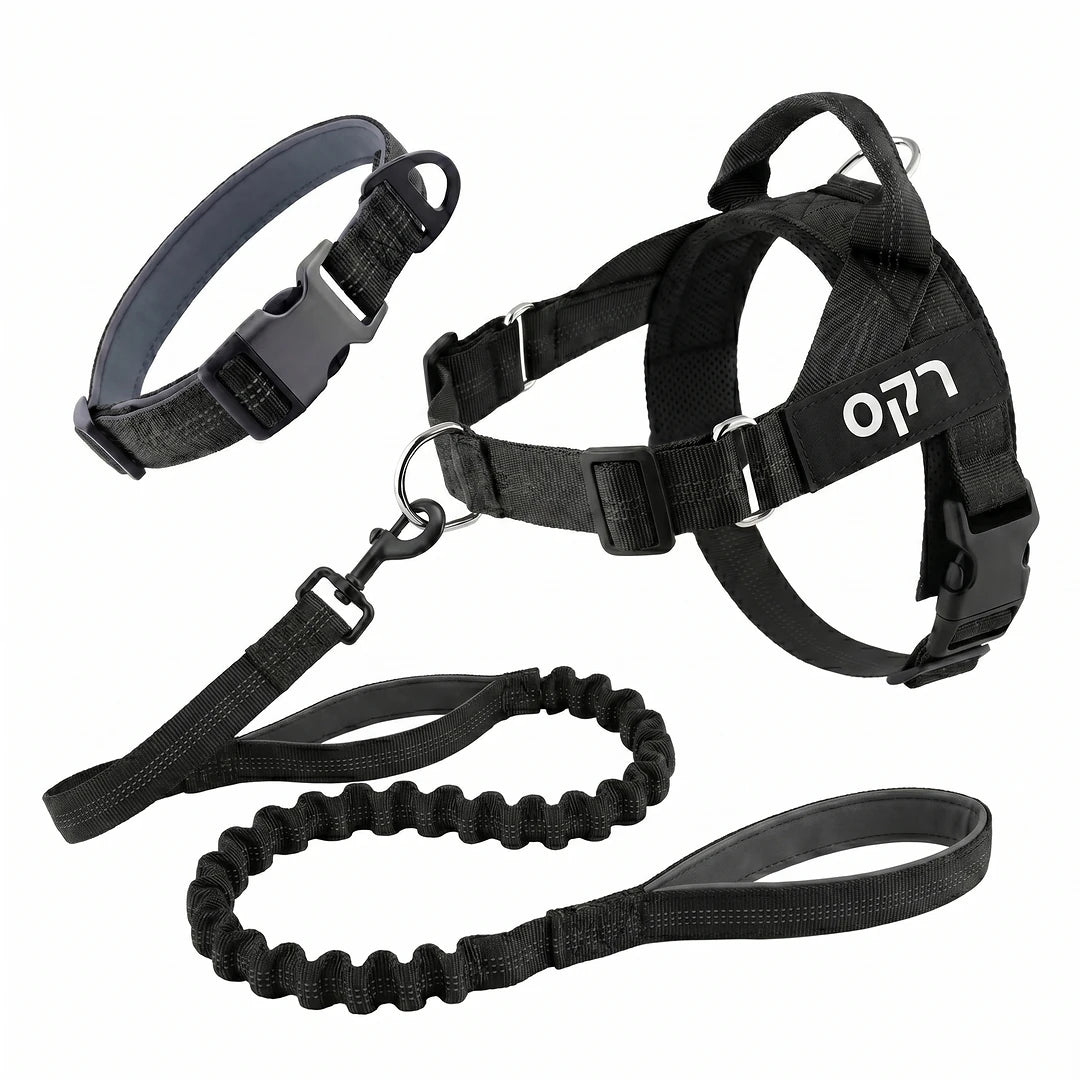 ערכת נגד משיכות מלאה - SafeWalk No-Pull 2.0