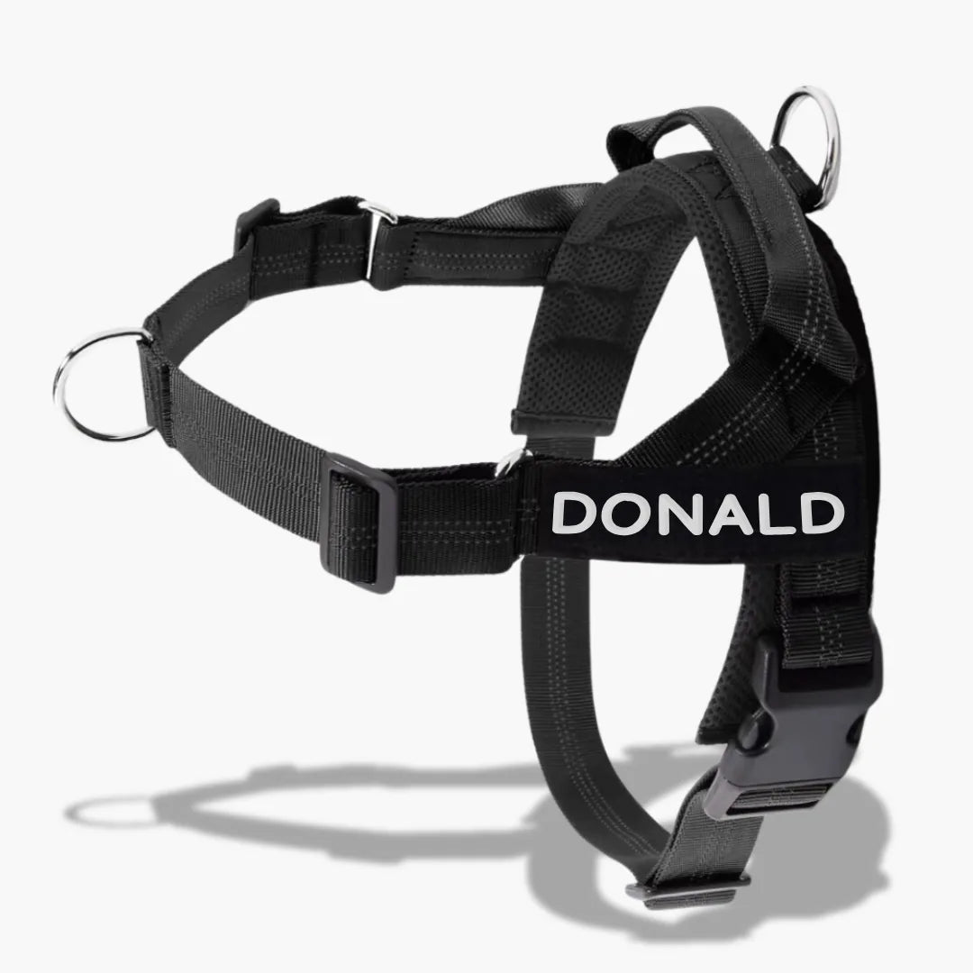 רתמת SafeWalk® No-Pull 2.0 רתמה ללא משיכות מותאמת אישית