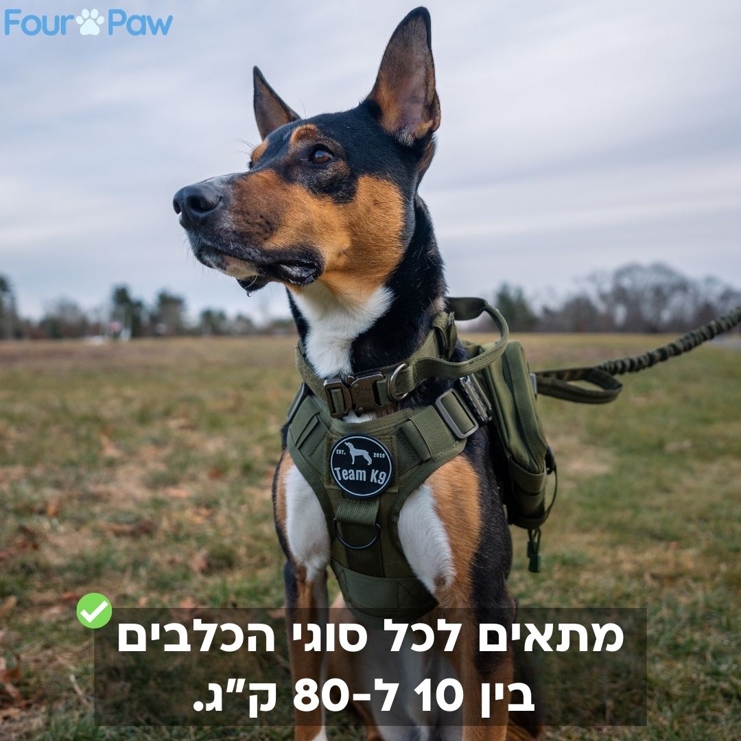 רתמה טקטית K9 עם חיבור קדמי נגד משיכות וסוגרים מברזל