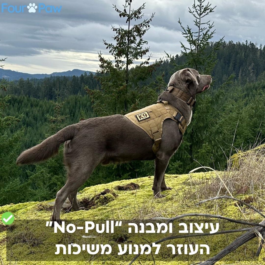 רתמה טקטית K9 עם חיבור קדמי נגד משיכות וסוגרים מברזל