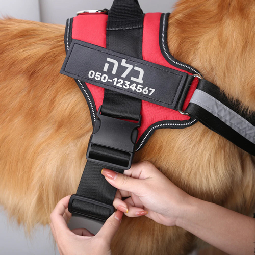 רתמת SafeWalk® - הרתמה המקורית נגד משיכות ופציעות, עם ספר במתנה