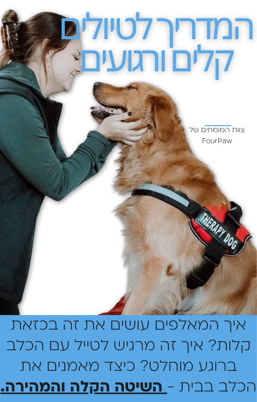 ספר דיגיטלי - המדריך לטיולים קלים ורגועים