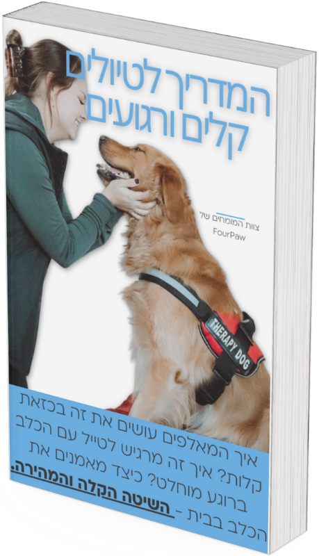 ספר דיגיטלי - המדריך לטיולים קלים ורגועים