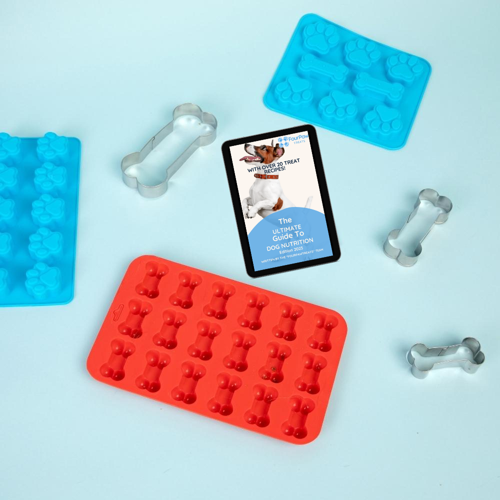 FourPawTreats® Homemade Dog Treats Kit Free Mold Today