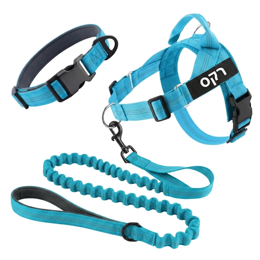 ערכת נגד משיכות מלאה - SafeWalk No-Pull 2.0