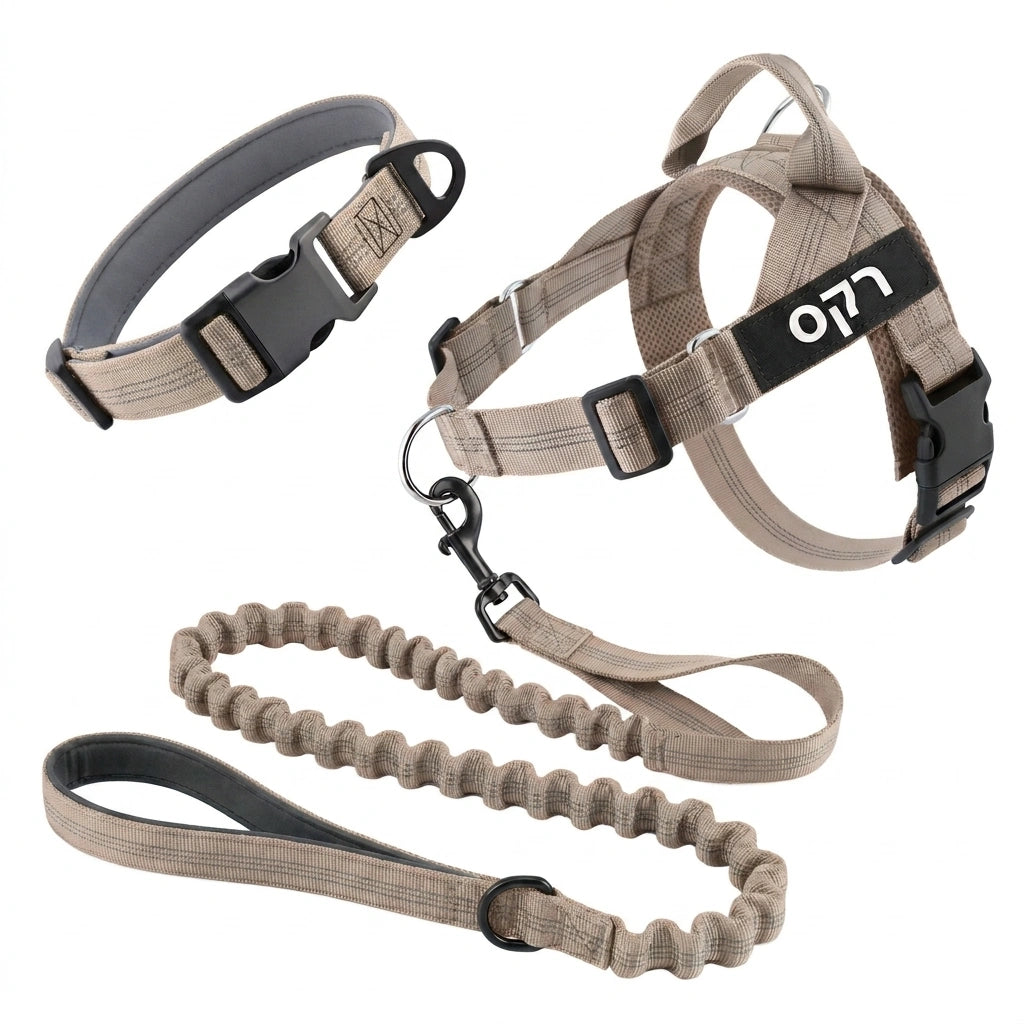 ערכת נגד משיכות מלאה - SafeWalk No-Pull 2.0