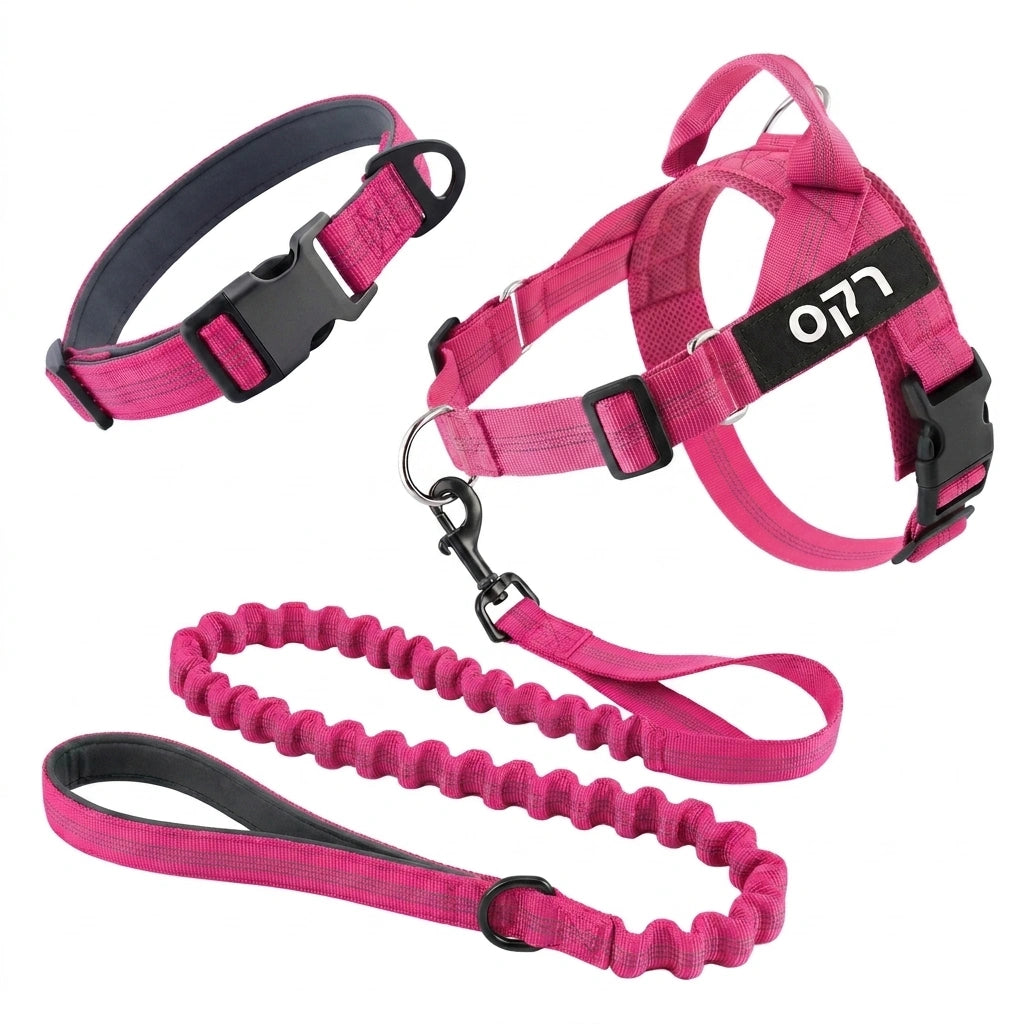 ערכת נגד משיכות מלאה - SafeWalk No-Pull 2.0