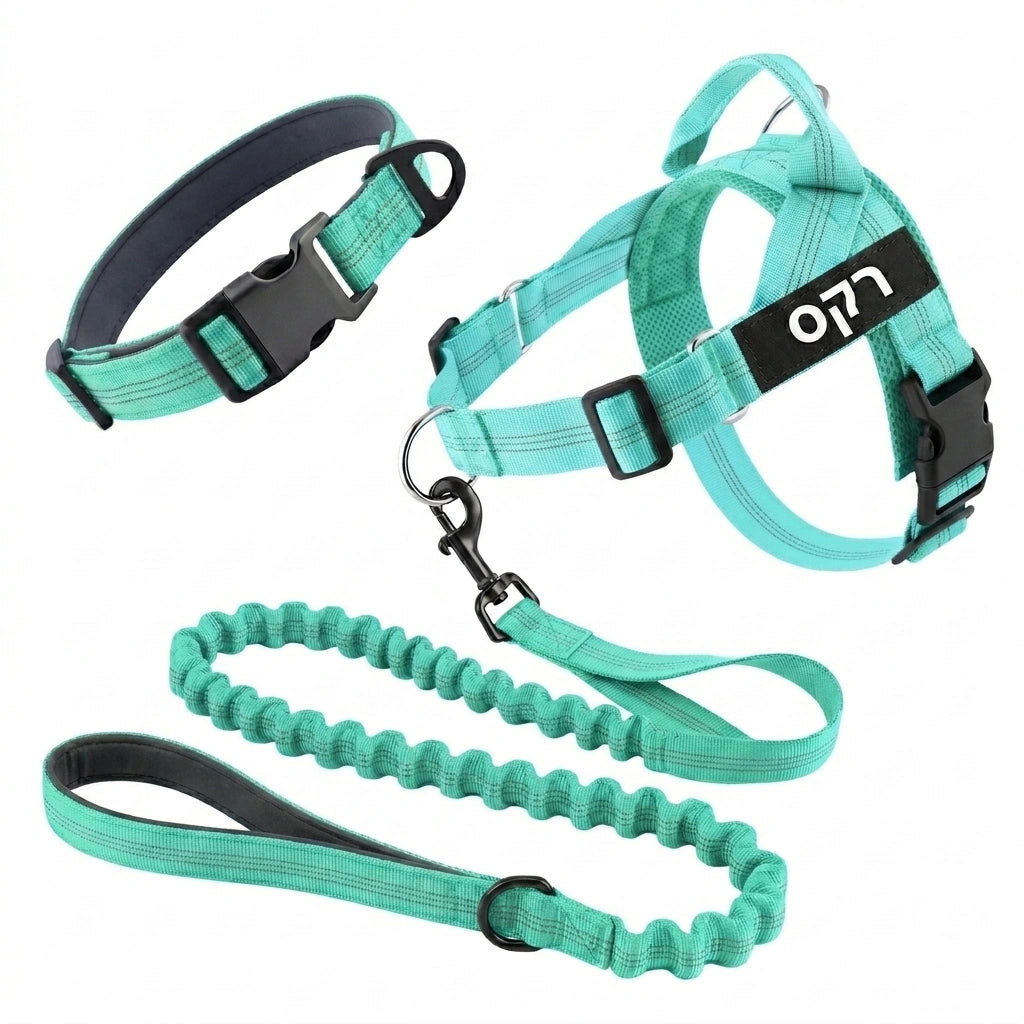 ערכת נגד משיכות מלאה - SafeWalk No-Pull 2.0