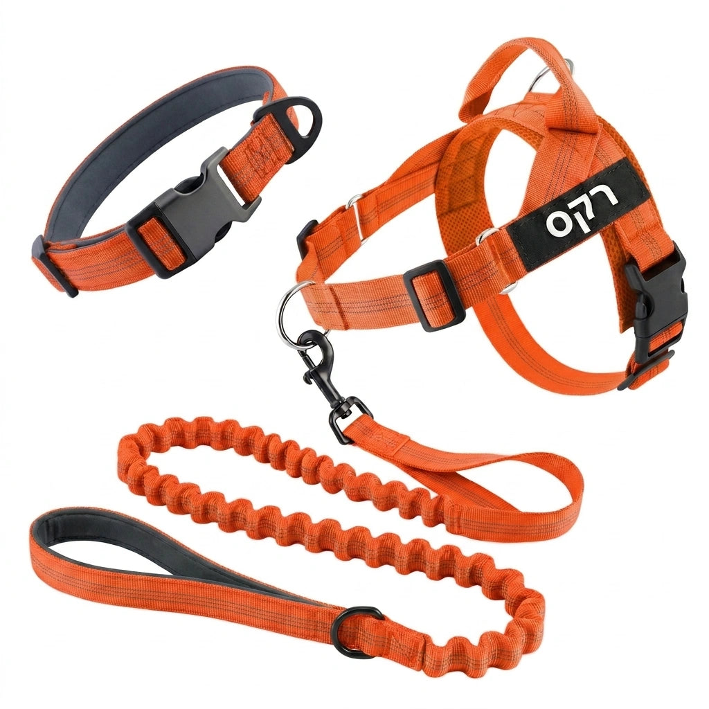 ערכת נגד משיכות מלאה - SafeWalk No-Pull 2.0