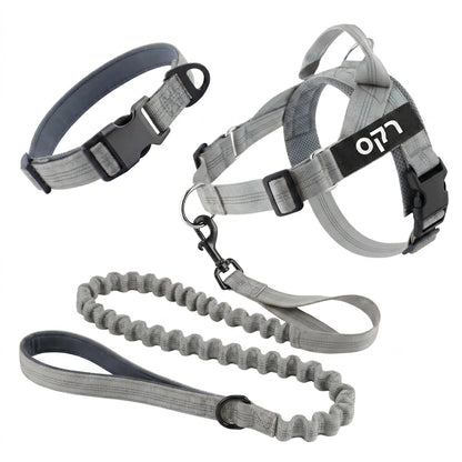 ערכת נגד משיכות מלאה - SafeWalk No-Pull 2.0