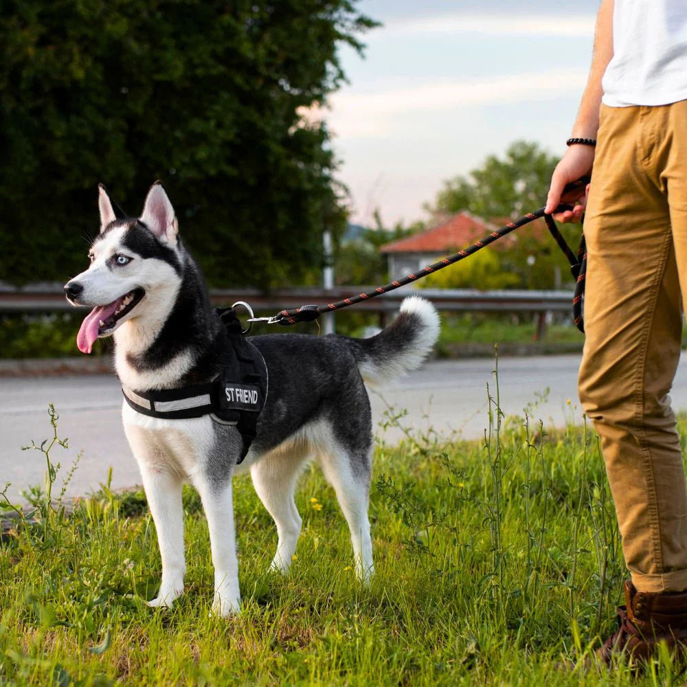 רתמת SafeWalk® - הרתמה המקורית נגד משיכות ופציעות, עם ספר במתנה