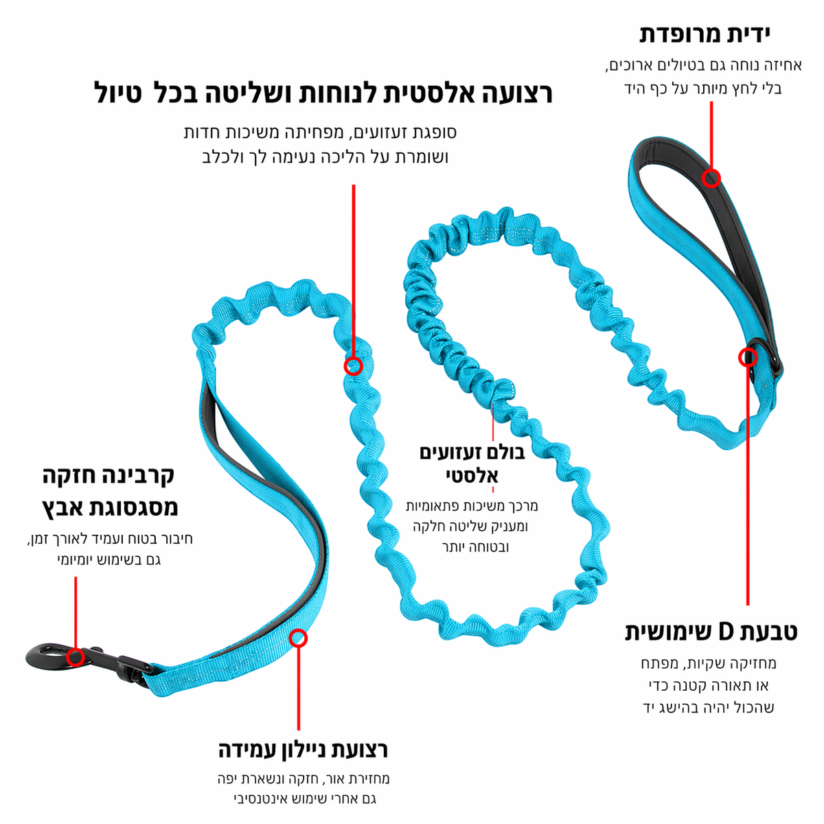 רצועת באנג'י SafeWalk® מקצועית לבלימת זעזועים