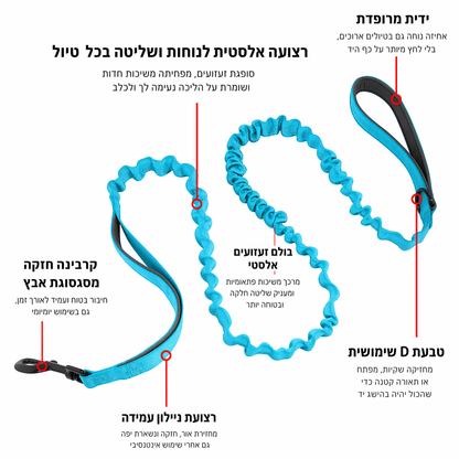 רצועת באנג'י SafeWalk® מקצועית לבלימת זעזועים