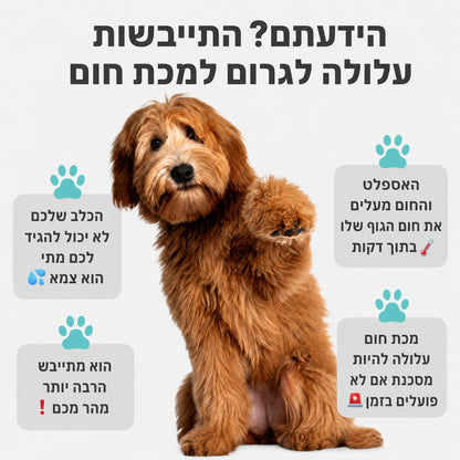Sip-Paw® בקבוק מים נייד לכלבים