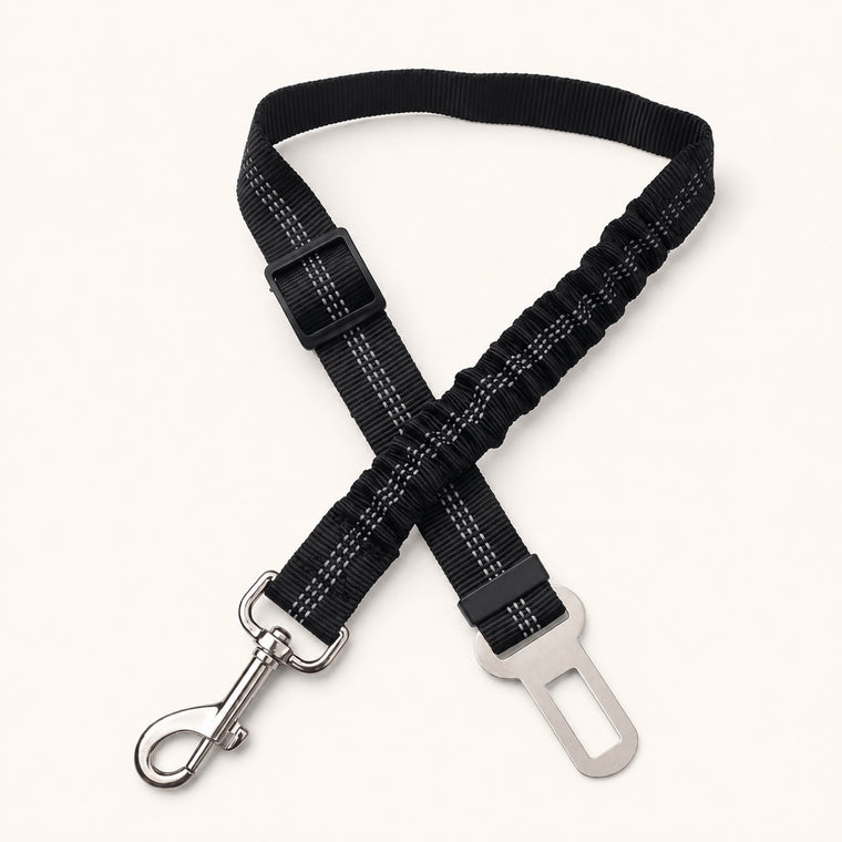 חגורת בטיחות SafeBelt
