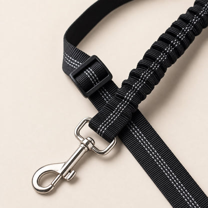 תקריב חיבורי חגורת בטיחות SafeBelt לרכב