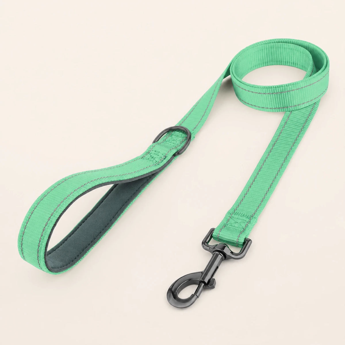 רצועת מאלפים SafeWalk בצבע אקווה על רקע סטודיו בהיר