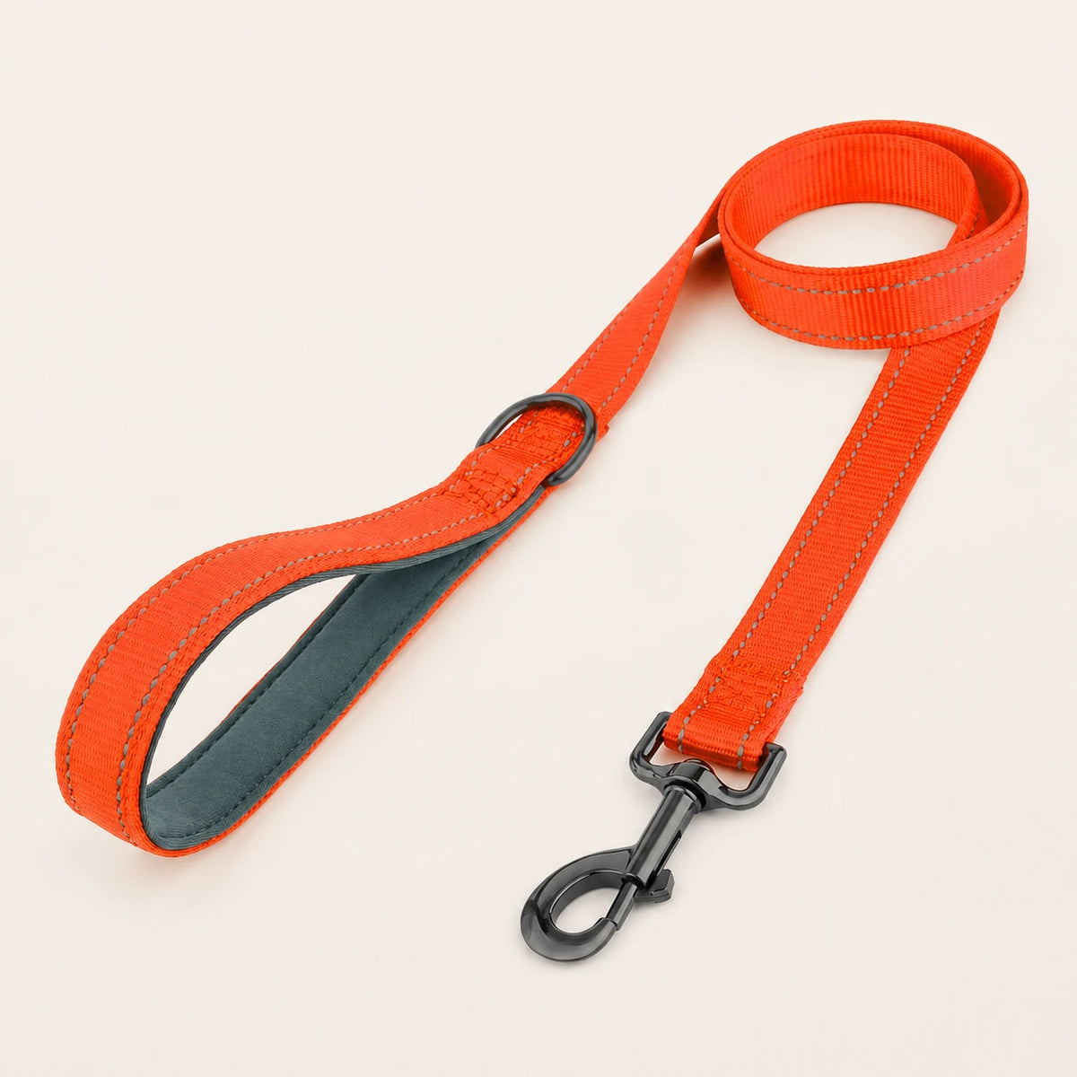רצועת מאלפים SafeWalk בצבע כתום על רקע סטודיו בהיר