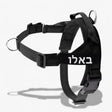 רתמת SafeWalk בצבע שנבחר