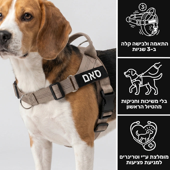 רתמת SafeWalk No-Pull 2.0