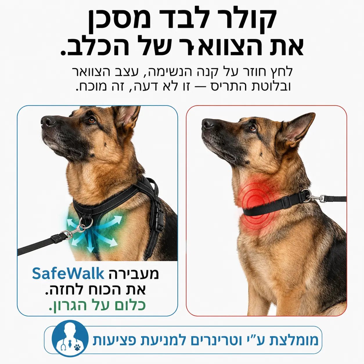 הסבר חינוכי על רתמה וקולר
