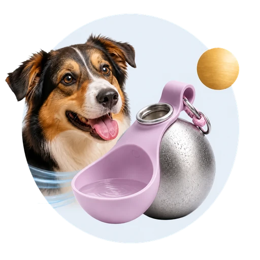 בקבוק Sip‑Paw עם גוף 304 נירוסטה